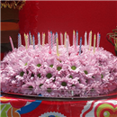 /fileuploads/Produtos/Exclusivos/thumb__Isisflor_Cake_Florido_01.png