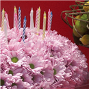 /fileuploads/Produtos/Exclusivos/thumb__Isisflor_Cake_Florido_02.png