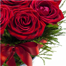 /fileuploads/Produtos/Rosas/thumb__Bouquet_de_Rosas_em_vaso_03.jpg