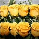 /fileuploads/Produtos/Rosas/thumb__Isisflor_Composicao_Classica_de_Rosas_02.png