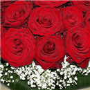 /fileuploads/Produtos/Rosas/thumb__Isisflor_Vermelho_Paixao_02.png