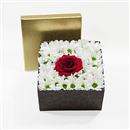 /fileuploads/Produtos/Rosas/thumb__Perfeito_para_ti_01.jpg