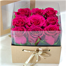 /fileuploads/Produtos/Rosas/thumb__Rosas_Encantadoras_02.jpg