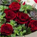 /fileuploads/Produtos/Rosas/thumb__Suculentas_e_Rosas_02.jpg